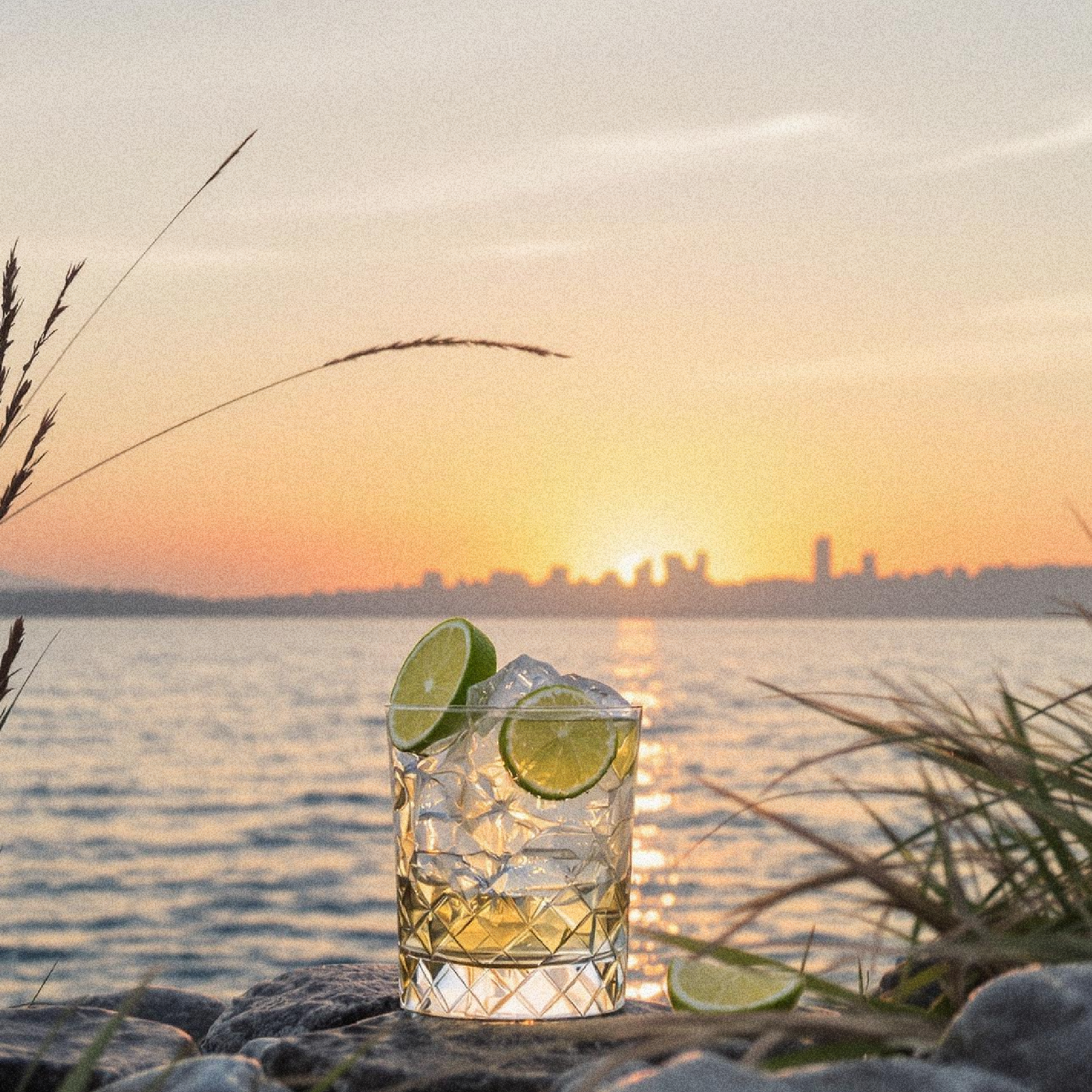 Micro Spirits: Die Revolution für stark alkoholreduzierte Longdrinks